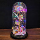 Enchanted Galaxy Rose