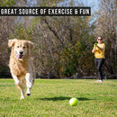 Dog Ball Launcher, Interactive Ball Thrower,  Load & Launch Tennis Balls for Dogs