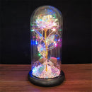 Enchanted Galaxy Rose