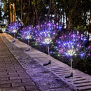 Lumières de jardin magiques de feu d'artifice