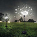 Lumières de jardin magiques de feu d'artifice