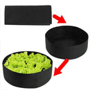 EZ-Garden™ - Raised Planting Bed