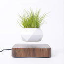 Levitating Bonsai Pot
