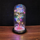 Enchanted Galaxy Rose