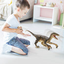 Jurassic Velociraptor Dinosaur RC Jouet