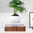 Levitating Bonsai Pot