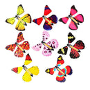 Flying Butterfly Gift Surprise