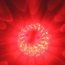 Fusée magnétique de sécurité d'urgence à LED