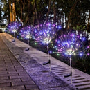 Lumières de jardin magiques de feu d'artifice