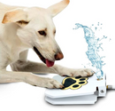 Dog's Step On Water Fountain