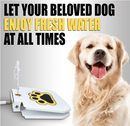 Dog's Step On Water Fountain