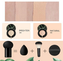 Mushroom Head Air Cushion Concealer