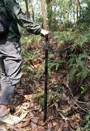 Oudoor Multi-purpose Walking Stick