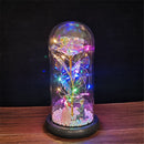 Enchanted Galaxy Rose