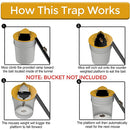 Flip 'n Slide Mouse Trap