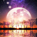 Diamond Painting Kit