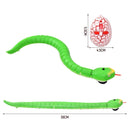 Fun RC Snake Toy