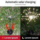 Lumières de jardin magiques de feu d'artifice