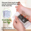 Kinoki Detox Foot Pads - Organic Herbal Cleansing Patches