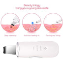 Ultrasonic Skin Scrubber Skin Beauty Device