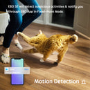 Companion Robot for Pets, Kids and Adults