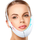Facial Lifting EMS Massage Device with LED Photon Therapy Face Slimming Vibration Massage