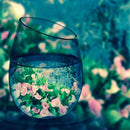 Diamond Painting Kit