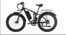 Fat Tire Electric Bike