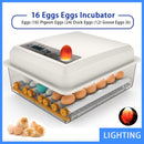 Automatic Egg Incubator - Poultry Hatcher for Chickens Ducks Birds (16Eggs）