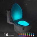 Motion Sensor LED Toilet Light