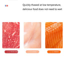 Defrosting Machine - Preservation And Defrosting Tray for Frozen Meat