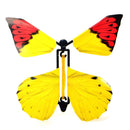 Flying Butterfly Gift Surprise