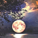 Diamond Painting Kit