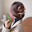 New Women's Bird Nest Magic Hair Clip, Expandable, Retractable, Hair Claw Ponytail Holder