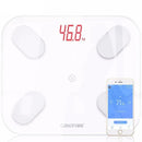 Smart Body Fat Scale