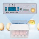 Automatic Egg Incubator - Poultry Hatcher for Chickens Ducks Birds (16Eggs）