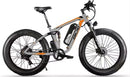 Fat Tire Electric Bike