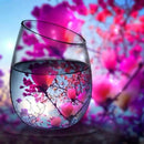 Diamond Painting Kit