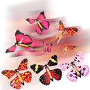 Flying Butterfly Gift Surprise