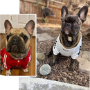 Dog Chain Collar, Black, Gold, Stainless Steel for Dogs Heavy Duty