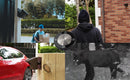 Long Range Solar Wireless Driveway Alarm