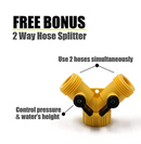 Dog's Step On Water Fountain