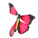 Flying Butterfly Gift Surprise