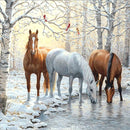 Diamond Painting Kit