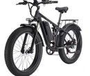 Fat Tire Electric Bike