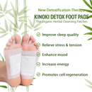 Kinoki Detox Foot Pads - Organic Herbal Cleansing Patches
