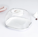 Defrosting Machine - Preservation And Defrosting Tray for Frozen Meat