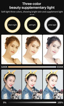 Video Conference Lighting - Gear Elevation